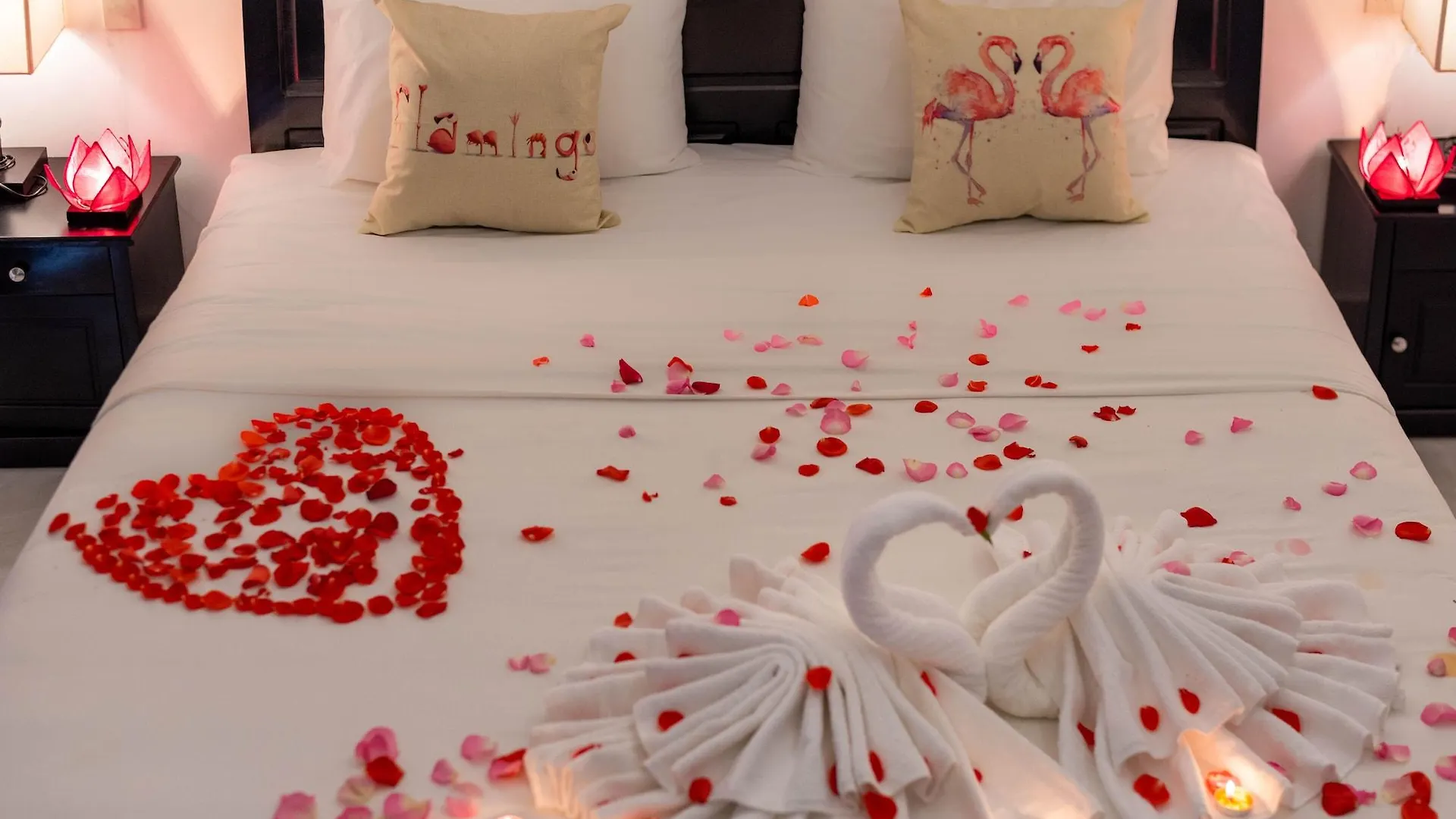 Flamingo Villa Homestay - Big Rooms With Balcony - Close To Hoi An Old Town 200M & Temple Bridge - Large Outside Pool For Sun Bathing 0*,