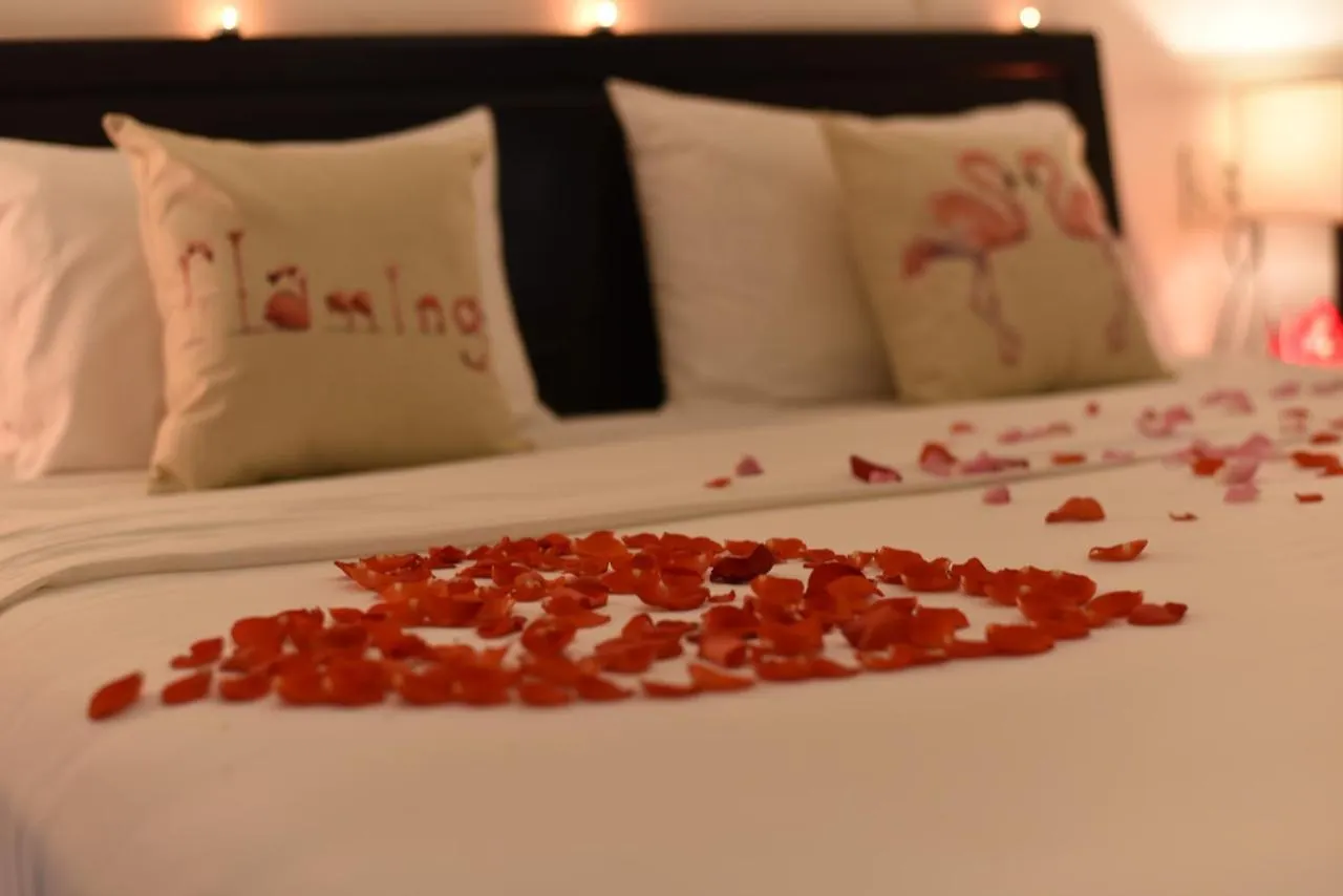 Flamingo Villa Homestay - Big Rooms With Balcony - Close To Hoi An Old Town 200M & Temple Bridge - Large Outside Pool For Sun Bathing