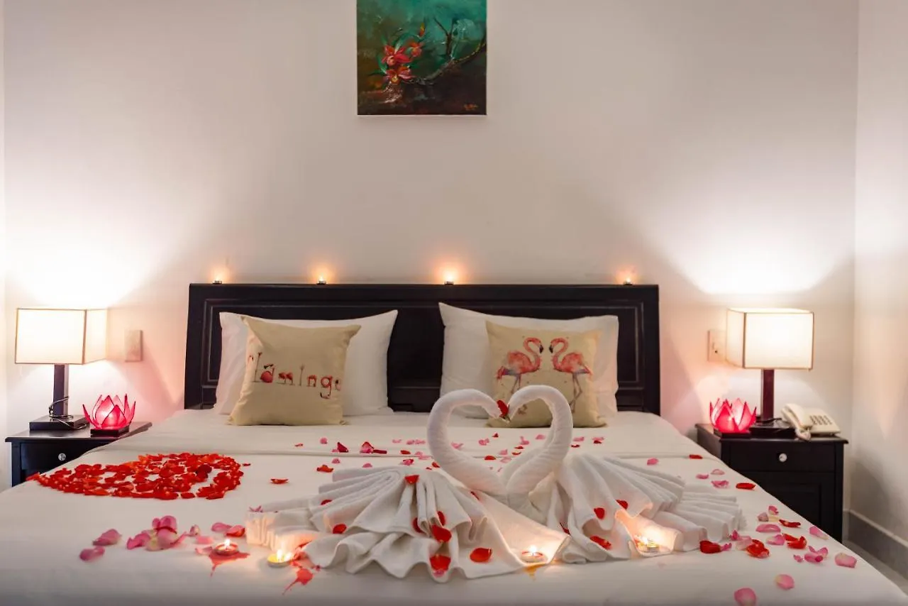 Flamingo Villa Homestay - Big Rooms With Balcony - Close To Hoi An Old Town 200M & Temple Bridge - Large Outside Pool For Sun Bathing